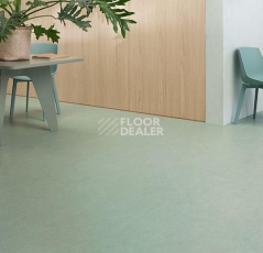 Forbo Marmoleum Decibel on Order 389135 sage фото 2 | FLOORDEALER
